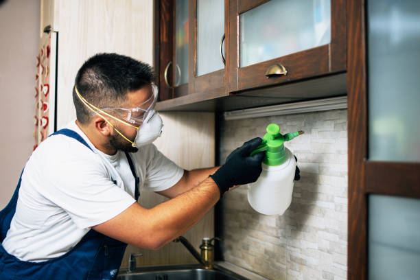 Best Affordable Pest Control Services  in Fairway, KS