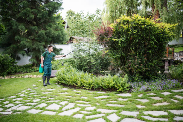 Best Affordable Pest Control Services  in Fairway, KS