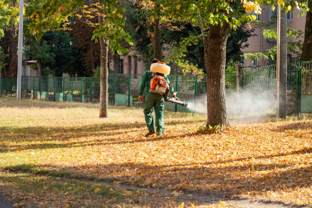 Best Pest Control Near Me  in Fairway, KS