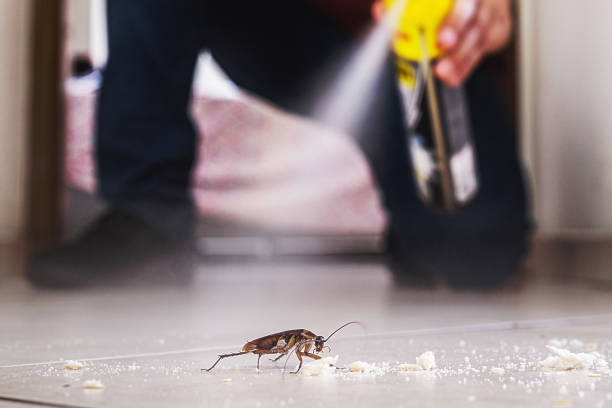 Pest Control for Restaurants in Fairway, KS