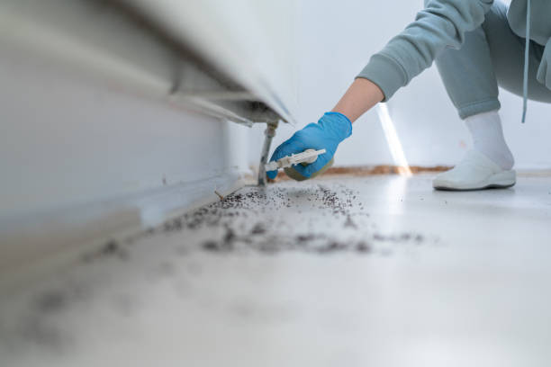 Best Residential Pest Control  in Fairway, KS